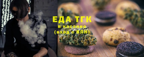 индика Абинск