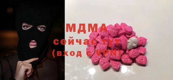 индика Абинск
