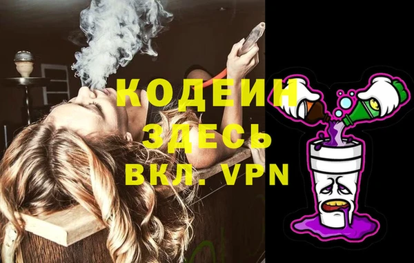 индика Абинск