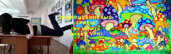 МДПВ Абдулино