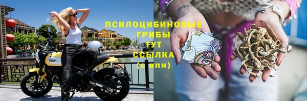 МДПВ Абдулино