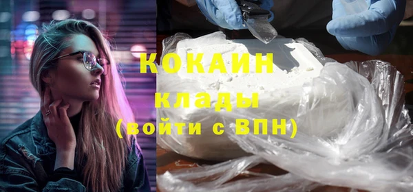 индика Абинск