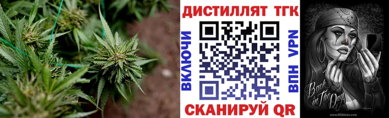 Дистиллят ТГК жижа  Великий Новгород 