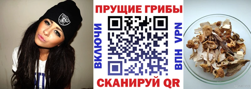 Галлюциногенные грибы GOLDEN TEACHER  Великий Новгород 