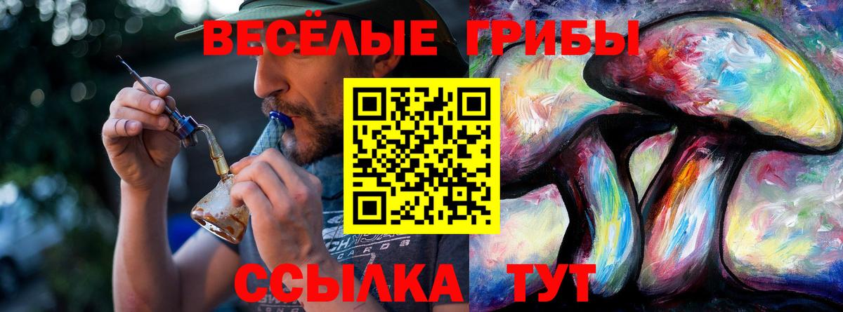 Великий Новгород  Галлюциногенные грибы MAGIC MUSHROOMS  Вход с VPN 