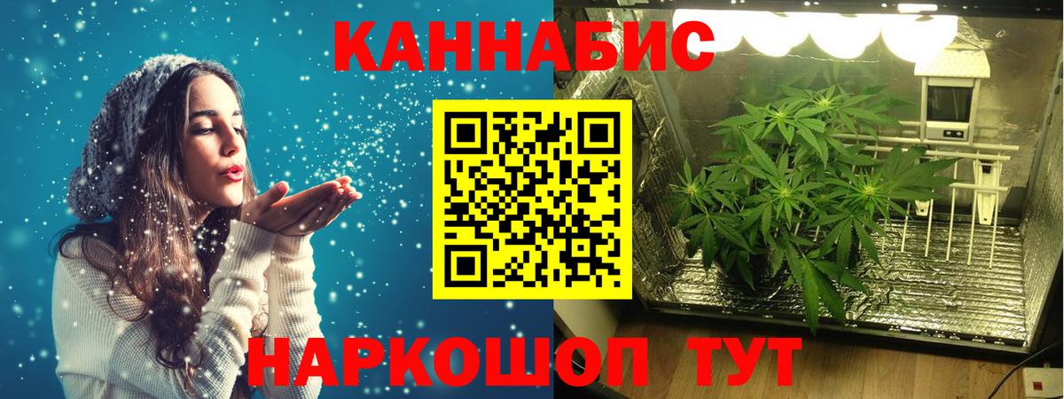 Великий Новгород  Каннабис конопля  МАРИХУАНА планчик  Шишки марихуана план  Вход с VPN  Бошки Шишки индика 